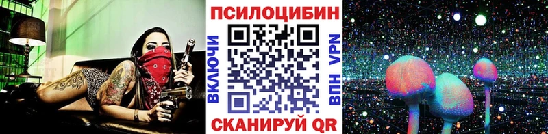 Галлюциногенные грибы мицелий  дарнет шоп  Мезень 